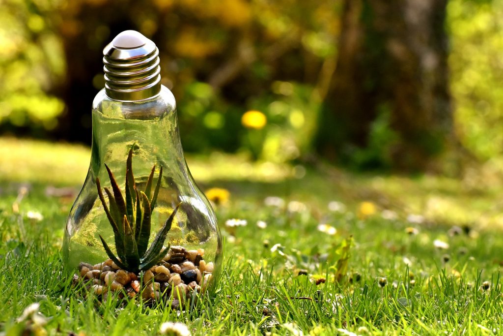 Environmental Protection 3341942 1920 1024x683
